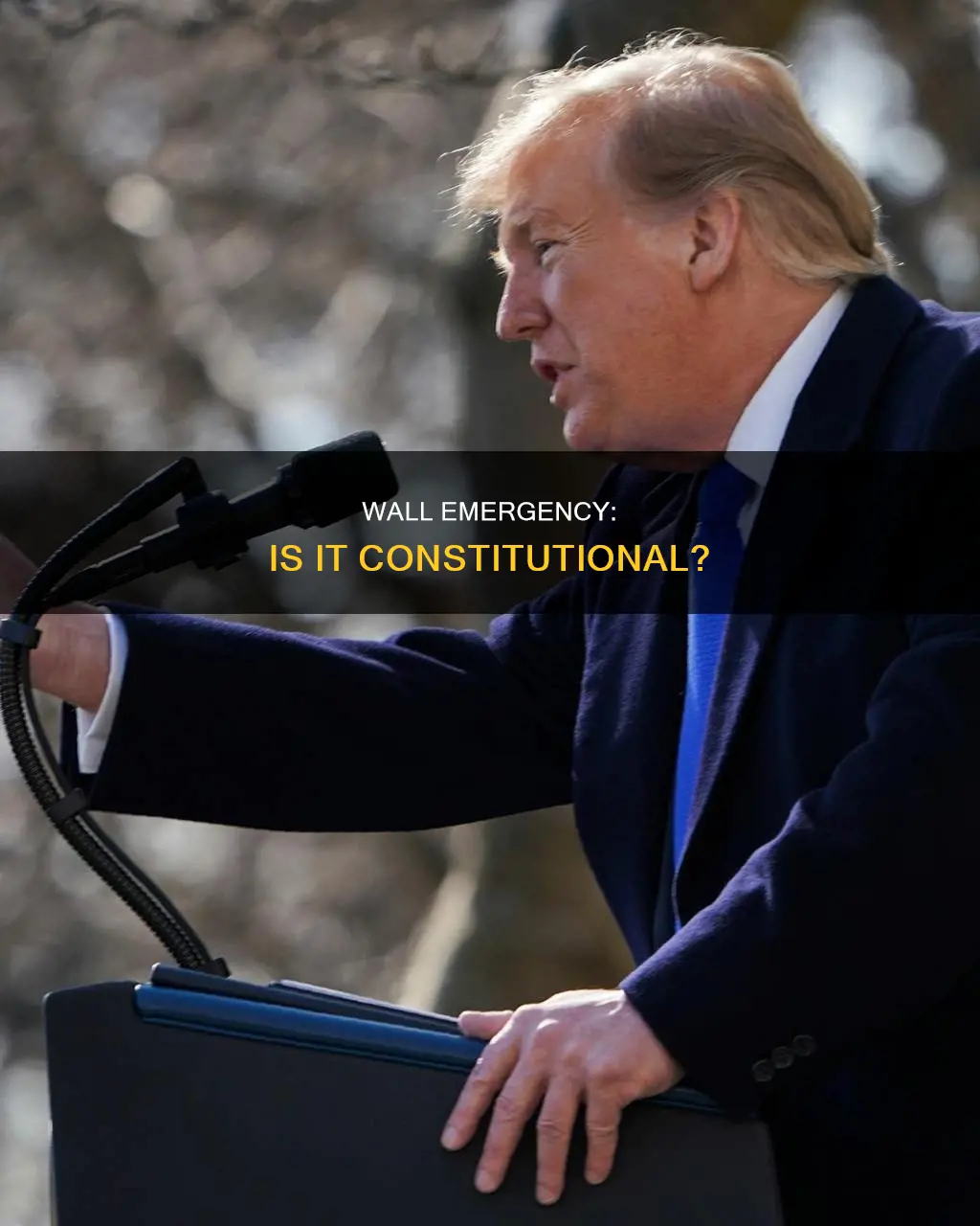 is declaring a national emergency for the wall constitution