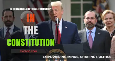 Emergency Powers: What Does the Constitution Say?