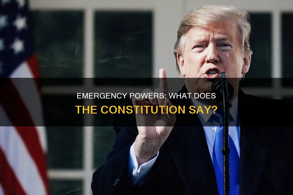 is declaring a national emergency in the constitution