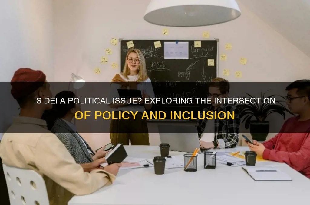 is dei a political issue