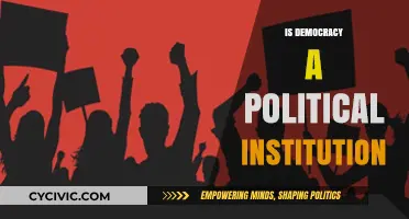 Democracy as a Political Institution: Structure, Function, and Impact