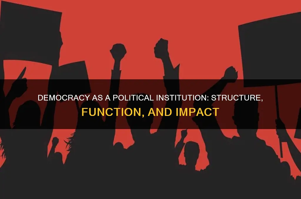 is democracy a political institution