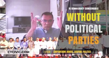 Democracy Without Parties: A Feasible Political Reality or Illusion?