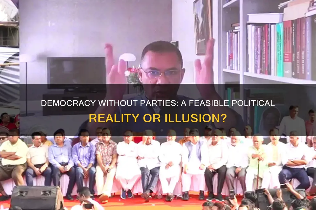 is democracy conceivable without political parties