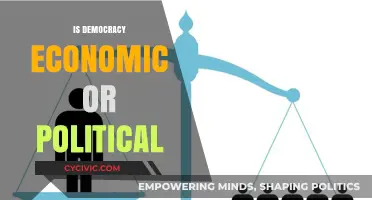 Democracy's Dual Nature: Economic Foundations or Political Framework?