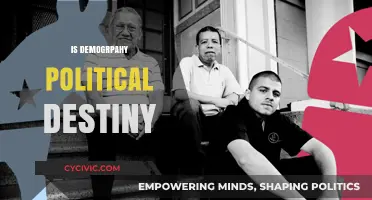 Demographics as Political Fate: Shaping Nations or Misleading Narrative?