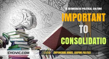 Democracy's Foundation: The Vital Role of Political Culture in Consolidation