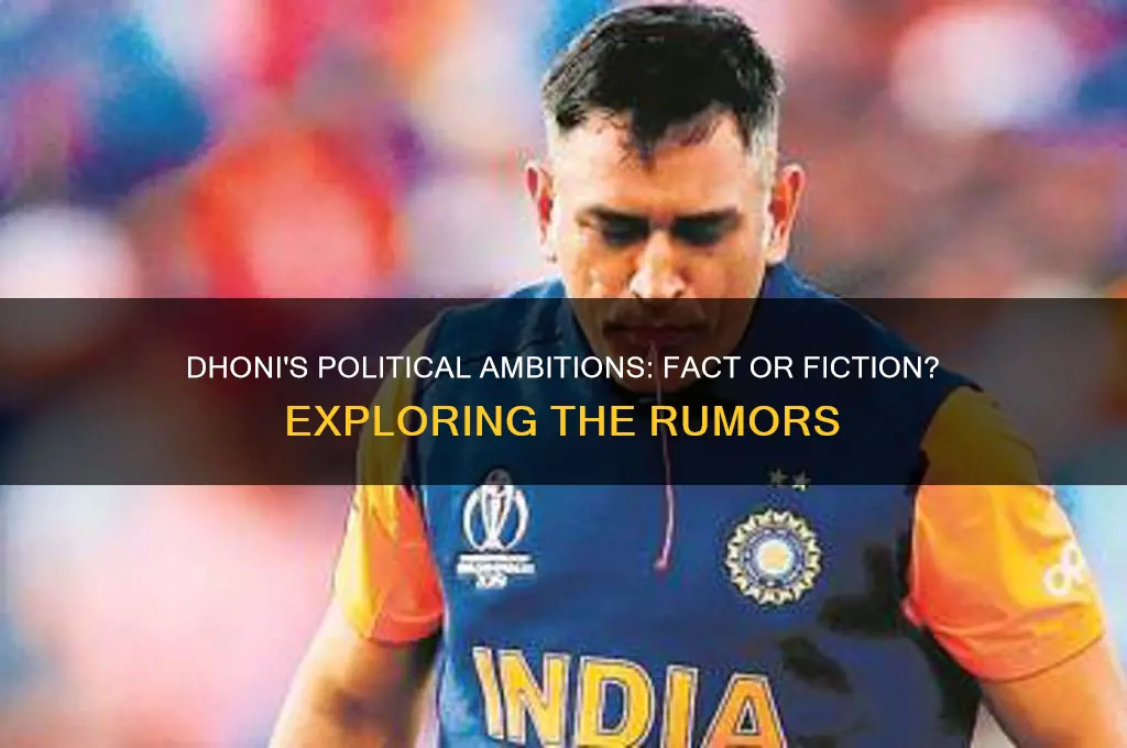 is dhoni interested in politics