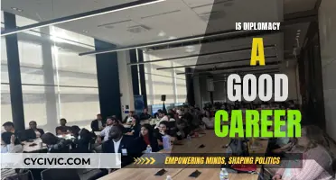 Diplomacy: A Fulfilling Career Choice?