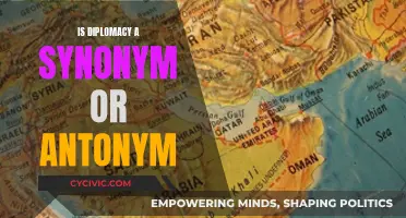 Exploring Diplomacy's Synonymous or Antithetical Nature in Global Affairs