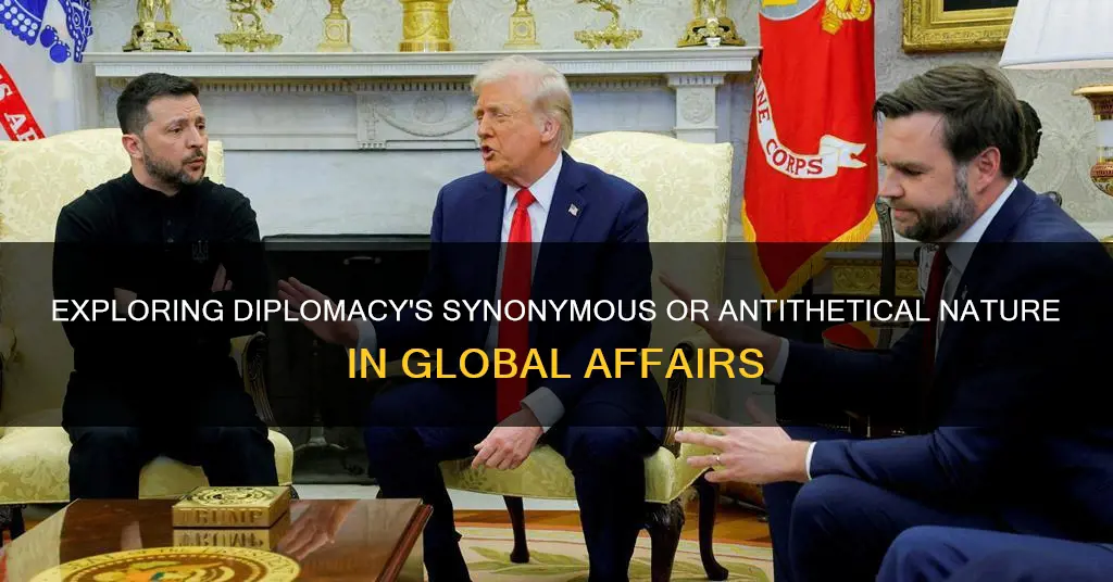 is diplomacy a synonym or antonym