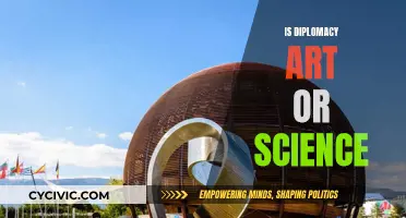 The Art and Science of Diplomacy: A Complex Blend