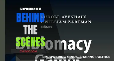 The Art of Diplomacy: Behind the Scenes