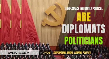 Diplomacy, Politics, and Politicians: What's the Real Relationship?