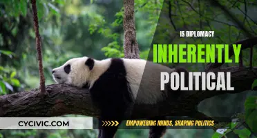 Diplomacy's Political Nature: An Intrinsic Link