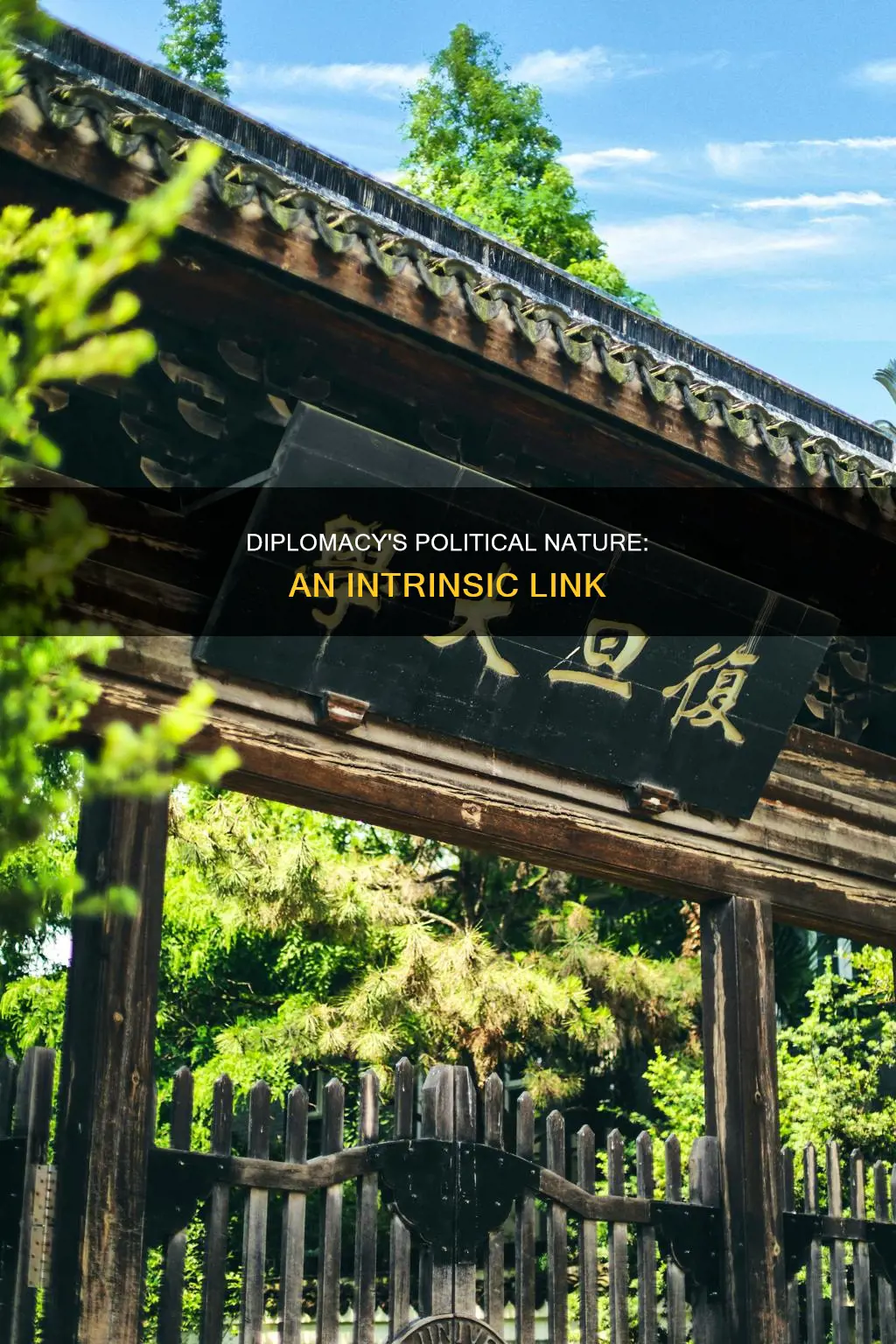 is diplomacy inherently political
