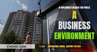Diplomacy in Business: A Necessary Art for Public Success