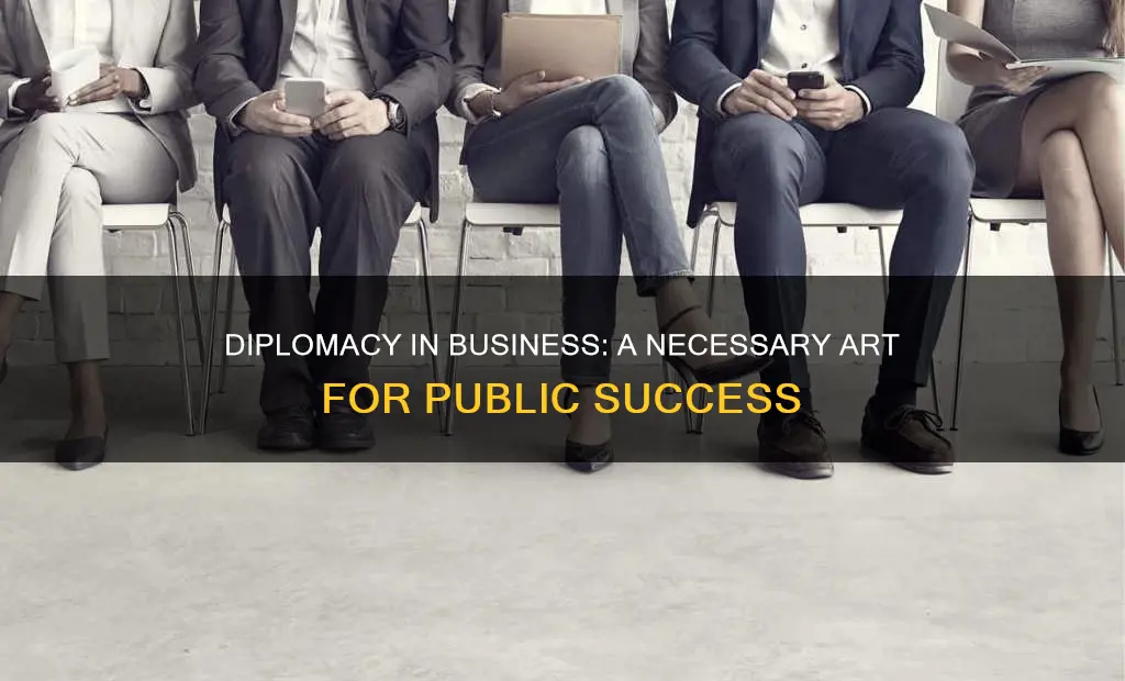 is diplomacy needed for public a business environment