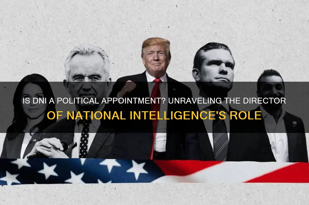is dni a political appointment