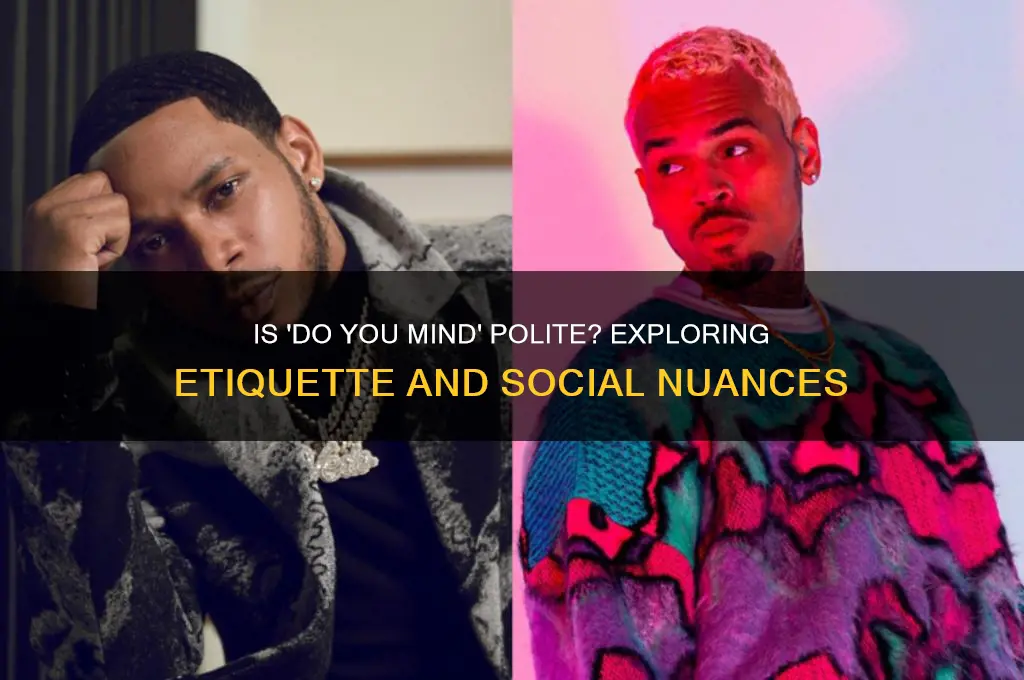 is do you mind polite