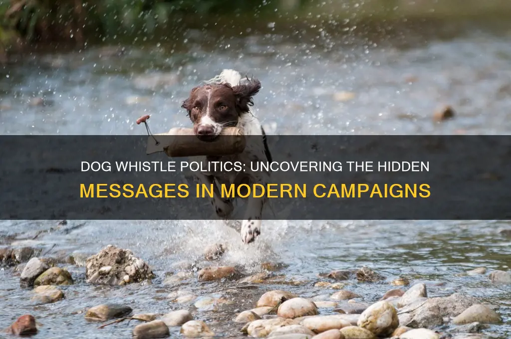 is dog whistle politics real