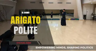 Is 'Domo Arigato' Polite? Understanding Japanese Etiquette and Usage