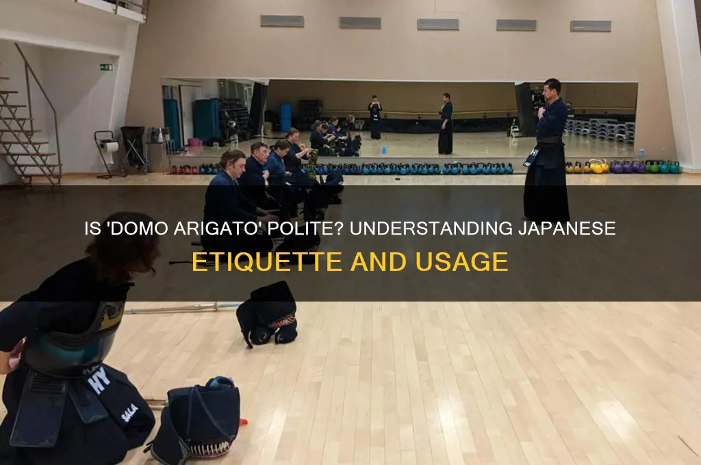 is domo arigato polite