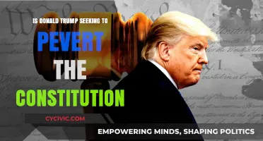 Trump's Constitution: A Perversion of American Democracy