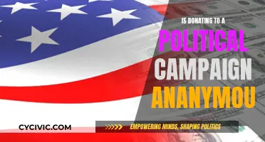 Political Campaign Donations: Anonymity and Transparency