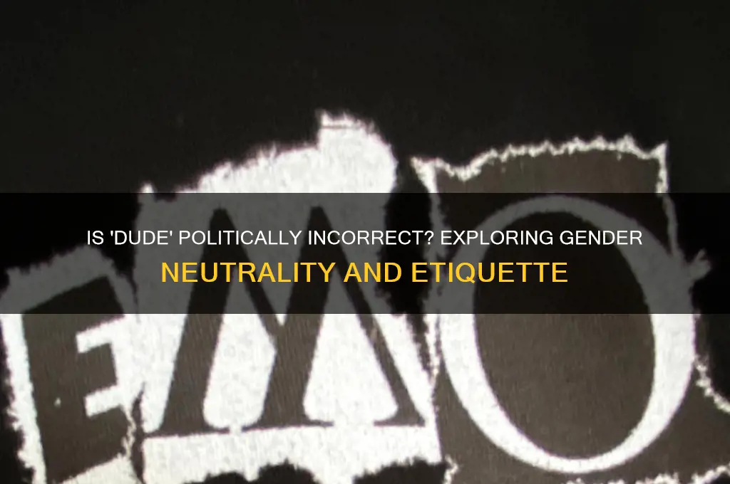 is dude politically incorrect