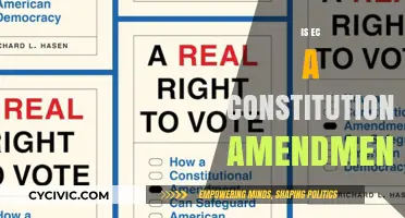 The EC: A Constitutional Amendment?