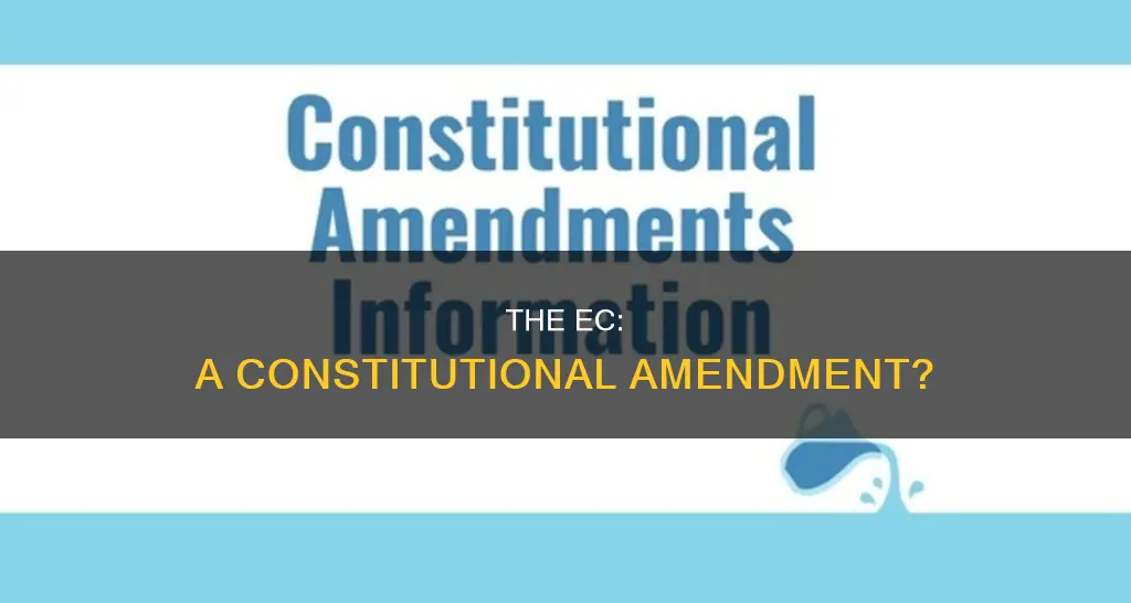 is ec a constitutional amendment