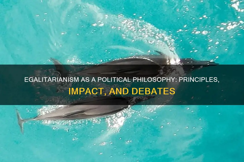 is egalitarianism a political philosophy