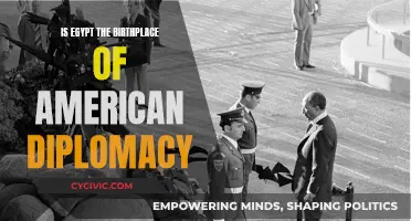 American Diplomacy's Roots: Egypt's Influence