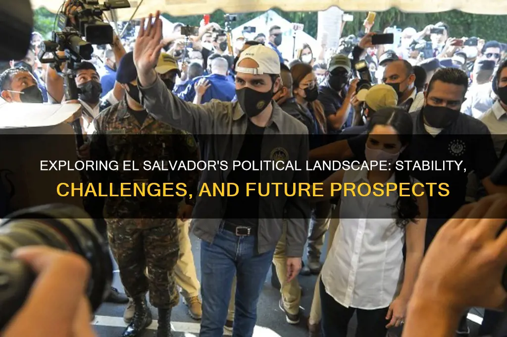 is el salvador politically