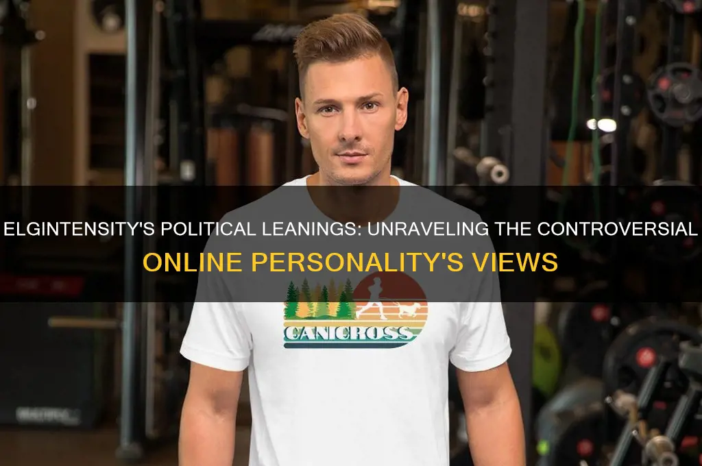 is elgintensity political leanings