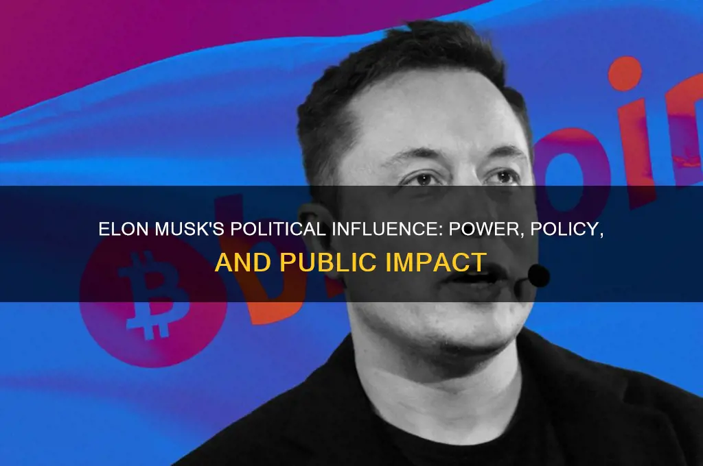 is elon musk in politics