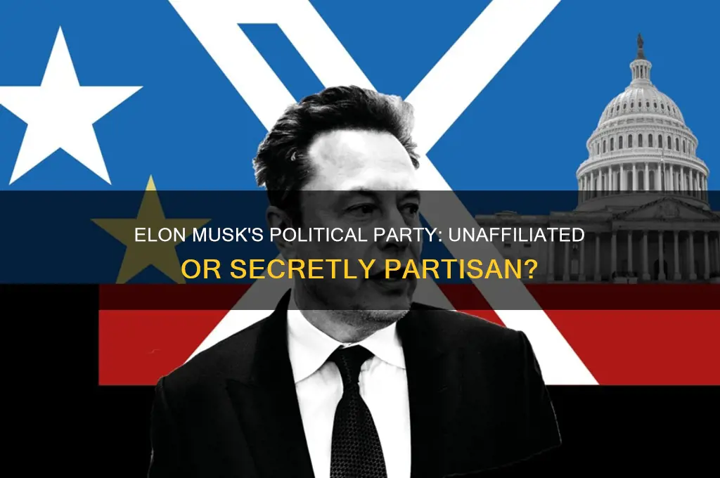 is elon musk political party