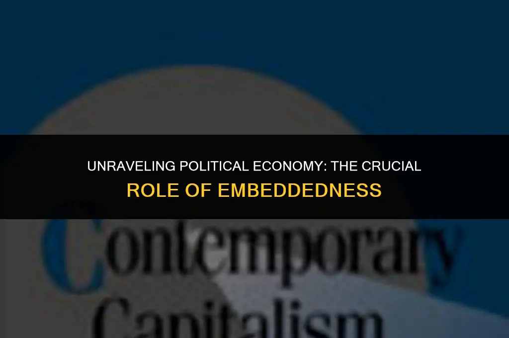 is embeddedness important to understand political economy