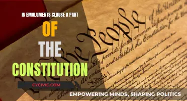 Emoluments Clause: A Constitutional Conundrum?