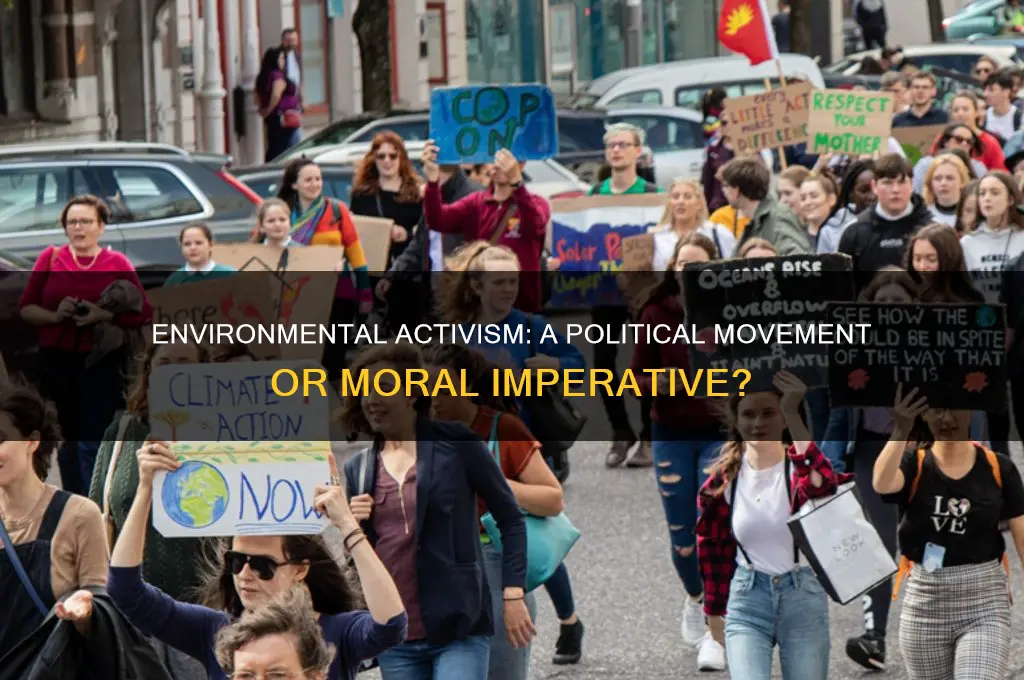 is environmental activism political