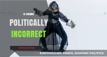Is Eskimo Offensive? Exploring the Politically Correct Terminology Debate