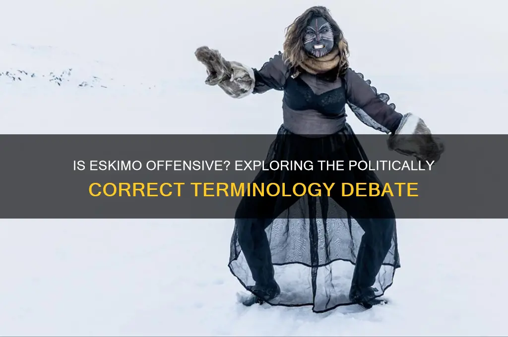 is eskimo politically incorrect