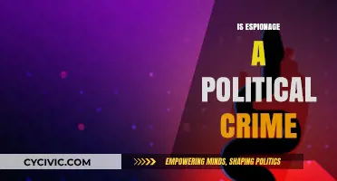 Espionage: A Political Crime or Necessary Intelligence Gathering?