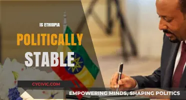 Ethiopia's Political Stability: Challenges, Progress, and Future Prospects