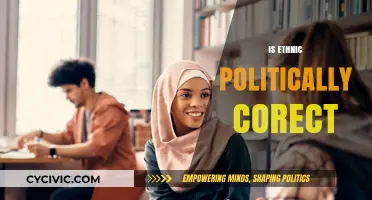 Is 'Ethnic' Politically Correct? Exploring Language Sensitivity and Inclusivity