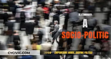 Ethnicity as a Socio-Political Construct: Identity, Power, and Representation