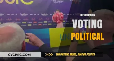 Eurovision Voting: Political Strategy or Pure Entertainment?