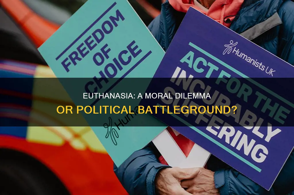 is euthanasia a political issue