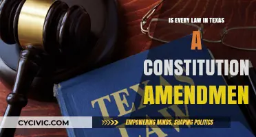 Texas Laws: Amendments or Just Constitutional?